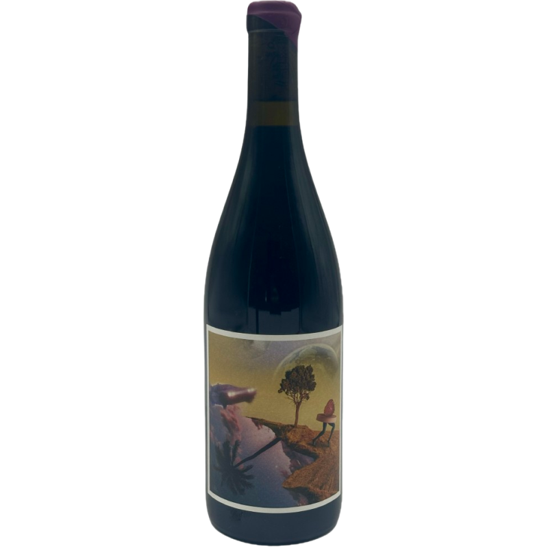 Domaine Berguerolles Back To The Serine | French Wine Domaine Berguerolles Back To The Serine | French Wine